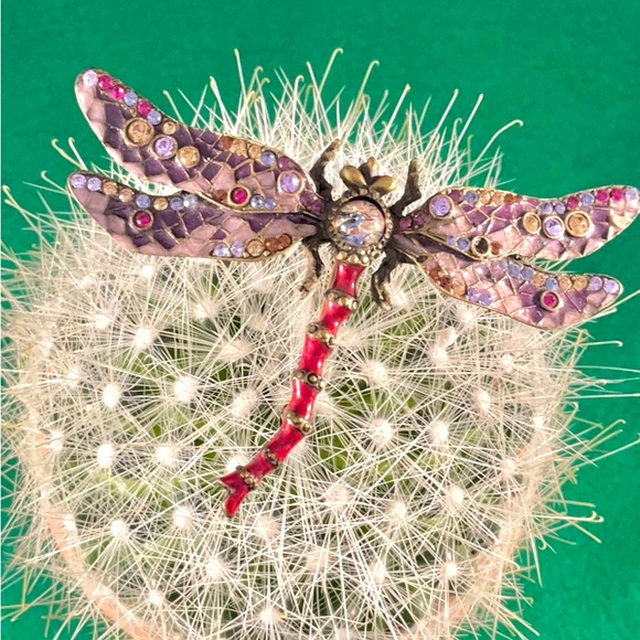 Signed Jay Stongwater pin - Picture 3 of 12